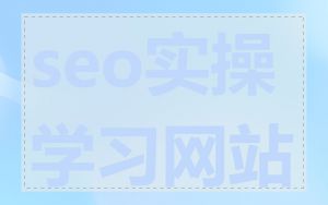 seo实操学习网站