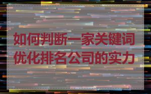 如何判断一家关键词优化排名公司的实力