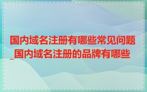 国内域名注册有哪些常见问题_国内域名注册的品牌有哪些