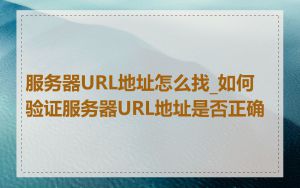 服务器URL地址怎么找_如何验证服务器URL地址是否正确