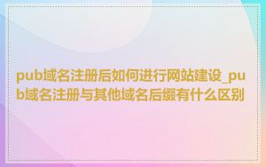 pub域名注册后如何进行网站建设_pub域名注册与其他域名后缀有什么区别