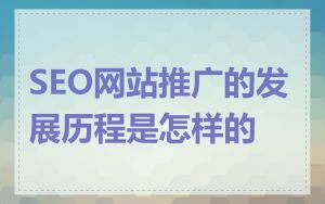 SEO网站推广的发展历程是怎样的