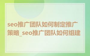 seo推广团队如何制定推广策略_seo推广团队如何组建