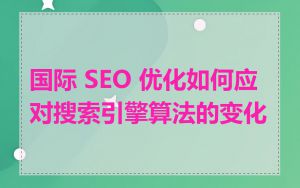 国际 SEO 优化如何应对搜索引擎算法的变化