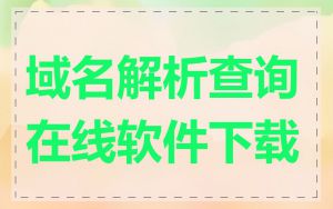 域名解析查询在线软件下载