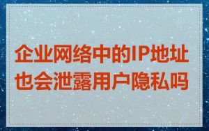 企业网络中的IP地址也会泄露用户隐私吗