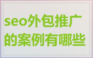 seo外包推广的案例有哪些