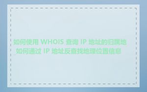 如何使用 WHOIS 查询 IP 地址的归属地_如何通过 IP 地址反查找地理位置信息