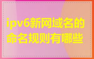 ipv6新网域名的命名规则有哪些