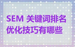 SEM 关键词排名优化技巧有哪些