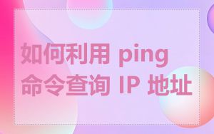 如何利用 ping 命令查询 IP 地址