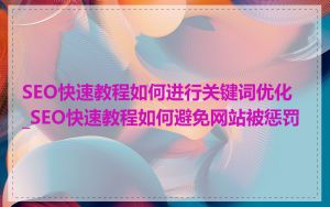 SEO快速教程如何进行关键词优化_SEO快速教程如何避免网站被惩罚