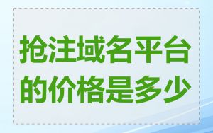 抢注域名平台的价格是多少