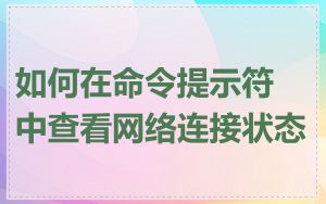 如何在命令提示符中查看网络连接状态