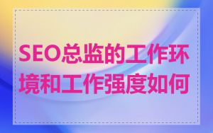 SEO总监的工作环境和工作强度如何