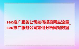 seo推广服务公司如何提高网站流量_seo推广服务公司如何分析网站数据