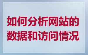 如何分析网站的数据和访问情况
