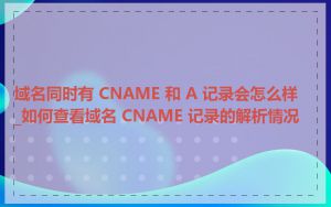 域名同时有 CNAME 和 A 记录会怎么样_如何查看域名 CNAME 记录的解析情况