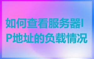 如何查看服务器IP地址的负载情况