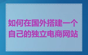 如何在国外搭建一个自己的独立电商网站