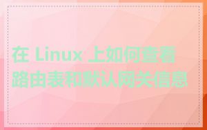 在 Linux 上如何查看路由表和默认网关信息