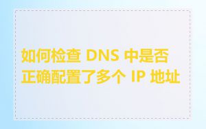 如何检查 DNS 中是否正确配置了多个 IP 地址