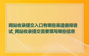 网站收录提交入口有哪些渠道值得尝试_网站收录提交需要填写哪些信息