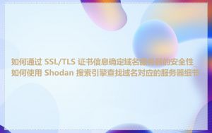 如何通过 SSL/TLS 证书信息确定域名服务器的安全性_如何使用 Shodan 搜索引擎查找域名对应的服务器细节