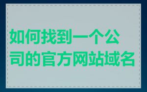 如何找到一个公司的官方网站域名