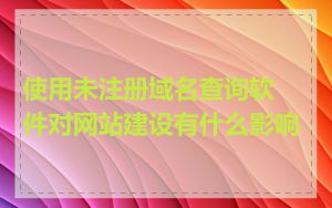 使用未注册域名查询软件对网站建设有什么影响