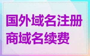 国外域名注册商域名续费