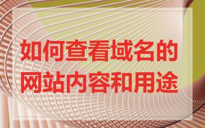 如何查看域名的网站内容和用途
