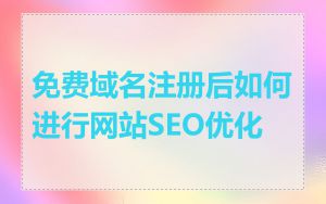 免费域名注册后如何进行网站SEO优化