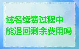 域名续费过程中能退回剩余费用吗