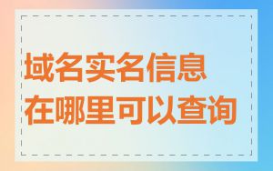 域名实名信息在哪里可以查询