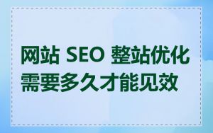 网站 SEO 整站优化需要多久才能见效