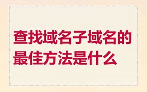 查找域名子域名的最佳方法是什么