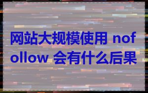网站大规模使用 nofollow 会有什么后果