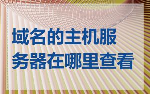 域名的主机服务器在哪里查看