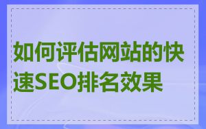 如何评估网站的快速SEO排名效果