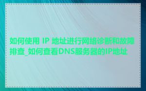 如何使用 IP 地址进行网络诊断和故障排查_如何查看DNS服务器的IP地址