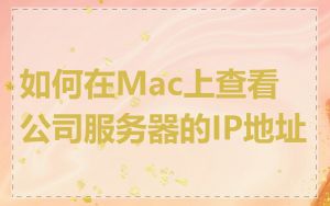 如何在Mac上查看公司服务器的IP地址