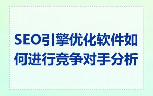 SEO引擎优化软件如何进行竞争对手分析