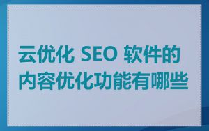 云优化 SEO 软件的内容优化功能有哪些