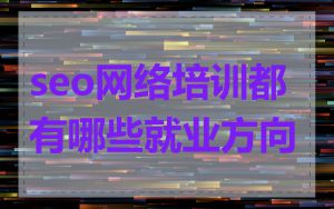 seo网络培训都有哪些就业方向