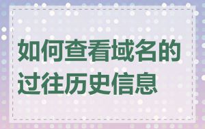 如何查看域名的过往历史信息