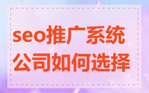 seo推广系统公司如何选择
