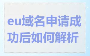 eu域名申请成功后如何解析