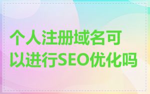 个人注册域名可以进行SEO优化吗