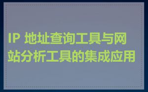 IP 地址查询工具与网站分析工具的集成应用